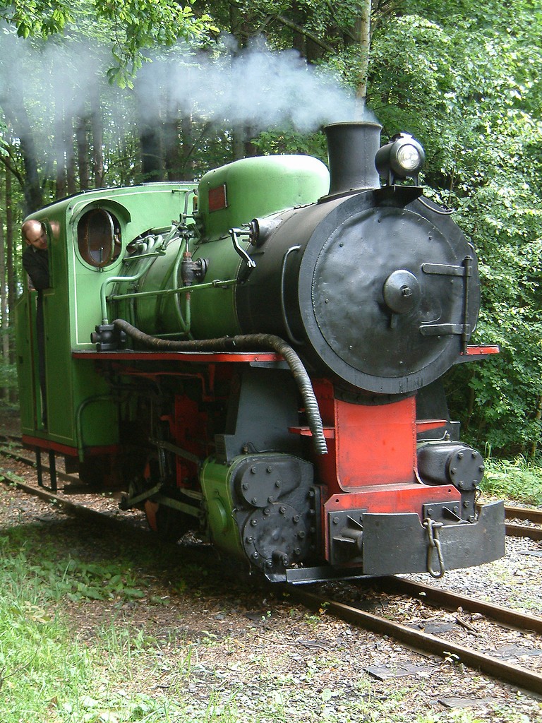 2004-06-12b_dscf0045_lokomotiva.jpg