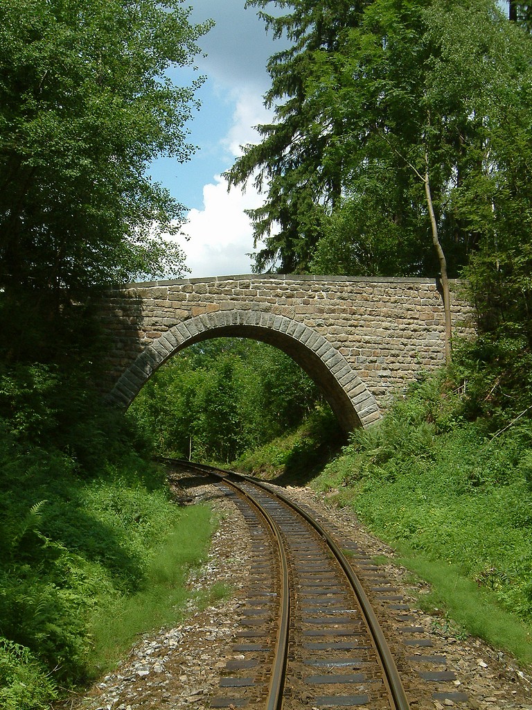 2005-07-03a_dscf0085_viadukt_u_cernovic.jpg