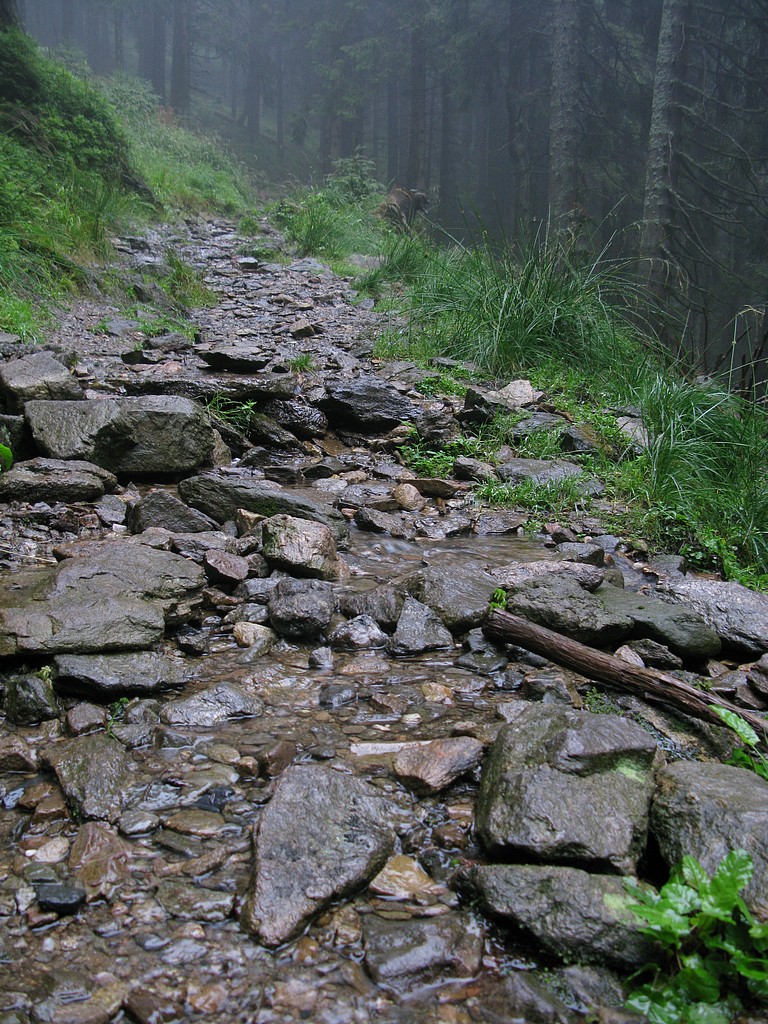 2008-08-16_img_2713_ze_snezniku_po_zluty.jpg