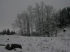2010-01-23_img_1042_pod_vidickym_vrchem.jpg