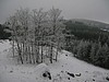 2010-01-23_img_1043_pod_vidickym_vrchem.jpg