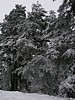 2010-01-23_img_1053_racovsky_vrch_nejvyssi_bod_sedmihori.jpg