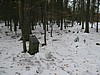 2010-02-28_img_1153_kde_je_zakopanej_pes_-_psi_hrbitov_u_barbory.jpg